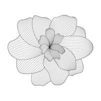 flor blanco y negro sobre fondo blanco. ilustración vectorial. vector