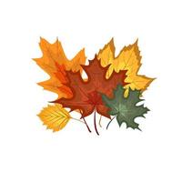 icono de hojas de otoño cayendo vector