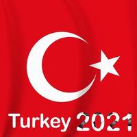 Turquía de fondo del juego de fútbol con la bandera. campeonato. vector