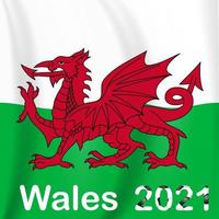 Fondo del juego de fútbol Gales con bandera. campeonato. vector