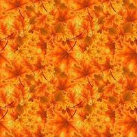 autumn orange and red fallen leaves. seamless pattern. vector