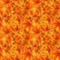 autumn orange and red fallen leaves. seamless pattern. vector