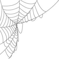 Web with spider background. Vector Illustration