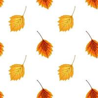 Abstract Vector Illustration Autumn Background with Autumn Leaves