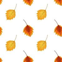 Abstract Vector Illustration Autumn Background with Autumn Leaves