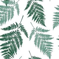 Fern leaf seamless pattern background. Vector Illustration