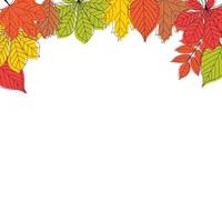 Abstract Autumn Leaves Background. Vector Illustration