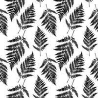Fern leaf seamless pattern background. Vector Illustration