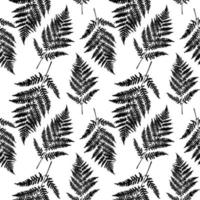 Fern leaf seamless pattern background. Vector Illustration