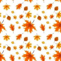 autumn orange and red fallen leaves. seamless pattern. vector