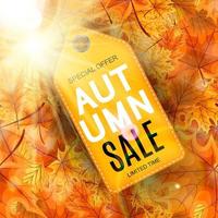 Abstract Vector Illustration Autumn Sale Background