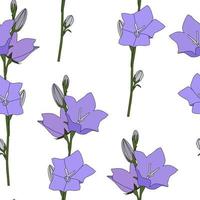 Hand drawn Campanula Flower seamless pattern background vector