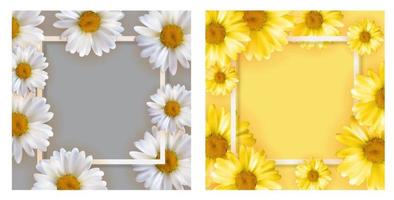 Cute Background with Chamomile Flowers. vector