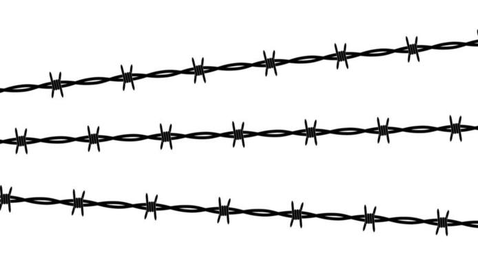 Barbed wire isolated