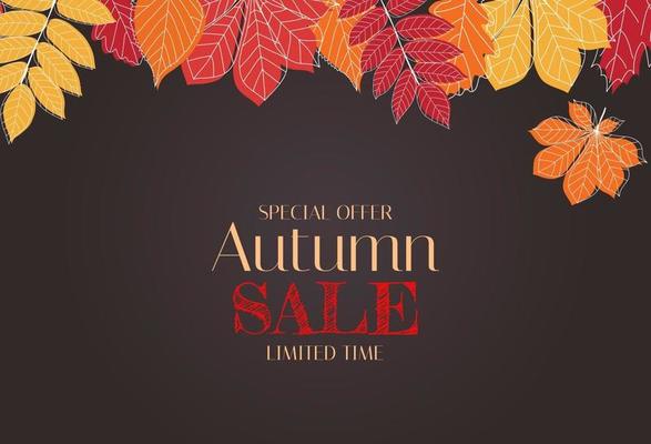 Autumn Background Template with leaves. Special offer. Limited Time