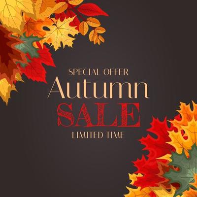 Autumn Background Template with leaves. Special offer. Limited Time