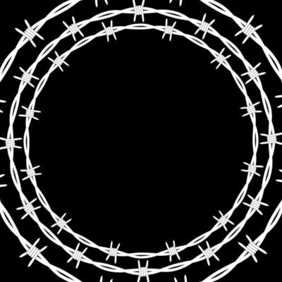 Barbed wire background.