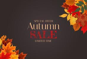 Autumn Background Template with leaves. Special offer. Limited Time vector