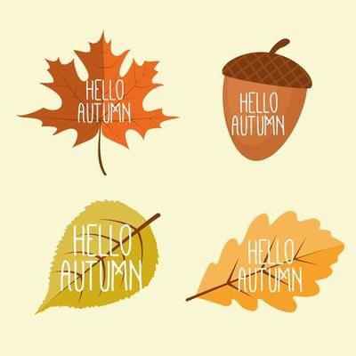 Abstract Hello Autumn Background with Falling Leaves, Rowan and Acorn