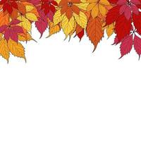 Autumn Background Template with leaves. Special offer. Limited Time vector