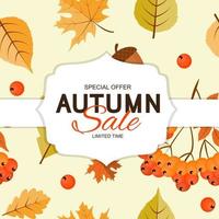 Autumn Background Template with leaves. Special offer. Limited Time vector