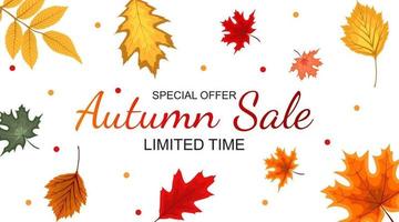 Abstract Autumn Sale Background with Falling Autumn Leaves vector