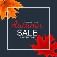 Abstract Autumn Sale Background with Falling Autumn Leaves vector