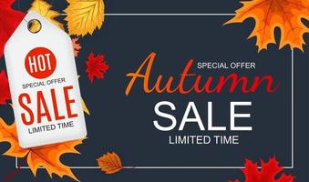 Abstract Autumn Sale Background with Falling Autumn Leaves vector