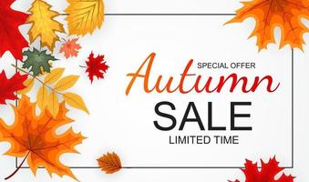 Abstract Autumn Sale Background with Falling Autumn Leaves vector