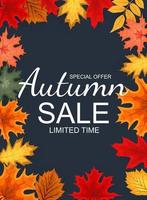 Abstract Autumn Sale Background with Falling Autumn Leaves vector