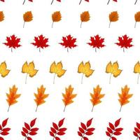 Abstract Seamless Pattern Background with Falling Autumn Leaves vector