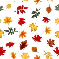 Abstract Seamless Pattern Background with Falling Autumn Leaves.