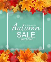 Abstract Autumn Sale Background with Falling Autumn Leaves vector