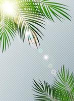 Summer Time Palm Leaf with Sun Burnst on Transparent vector