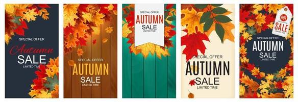 Abstract Autumn Sale Background with Falling Autumn Leaves Collection vector