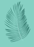 Beautiful Palm Leaf Background. Vector Illustration