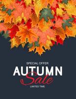 Abstract  Autumn Sale Background with Falling Autumn Leaves vector