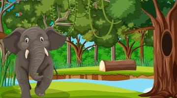 An elephant in forest scene with many trees vector