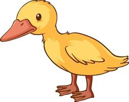 Little duck cartoon on white background vector