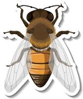 A sticker template with top view of honey bee isolated vector