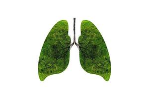 Ilustración del medio ambiente y la medicina del árbol pulmonar. foto