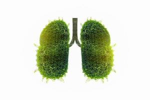 Illustration of lung tree Environment and Medicine photo