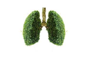 Ilustración del medio ambiente y la medicina del árbol pulmonar. foto