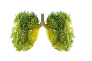 Ilustración del medio ambiente y la medicina del árbol pulmonar. foto