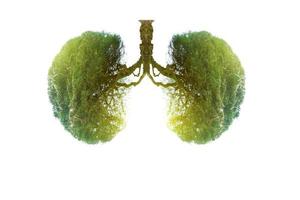 Ilustración del medio ambiente y la medicina del árbol pulmonar. foto