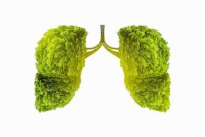 Ilustración del medio ambiente y la medicina del árbol pulmonar. foto