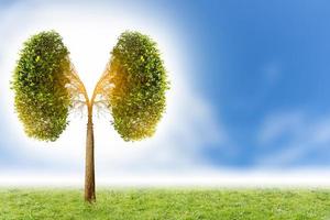 Illustration of lung tree Environment and Medicine photo