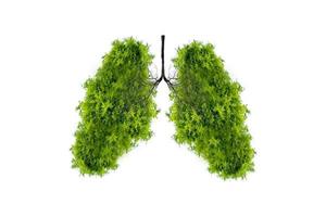 Illustration of lung tree Environment and Medicine