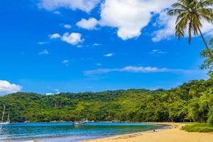 playa de manglares y pouso en la isla tropical ilha grande brasil. foto