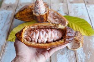 Las mazorcas de cacao frescas y hojas de cacao sobre fondo de madera foto